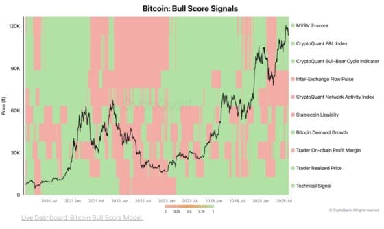 비트코인 12만3000달러 찍고 숨 고르기…“단기 조정 가능성” – 크립토퀀트