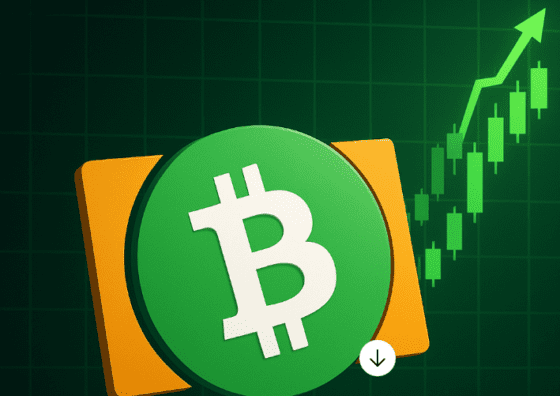 5개월 새 두 배 뛴 비트코인캐시⋯저항선 돌파 시 107만원 간다