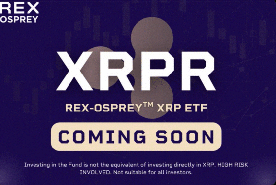 미국 첫 스팟 도지코인(DOGE)·XRP ETF 18일 출시 예정