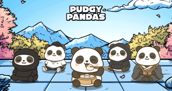 서울발 밈코인 돌풍, 퍼지 판다 48시간 만에 80만 달러 모금