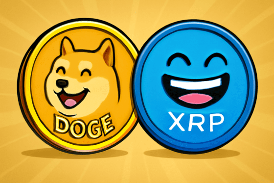 XRP·도지코인 ETF 승인 임박… “시장성은 여전히 제한적”