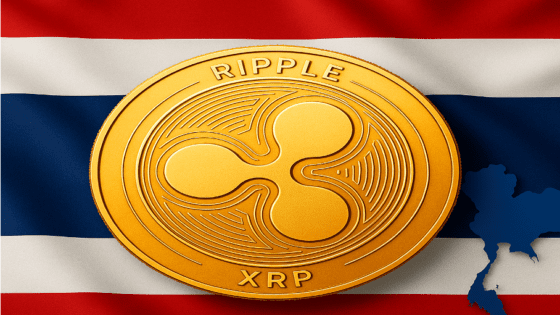 XRP 온체인 활동 비트코인 이더리움 보다 활발…지갑 절반 이상이 1년 내 거래