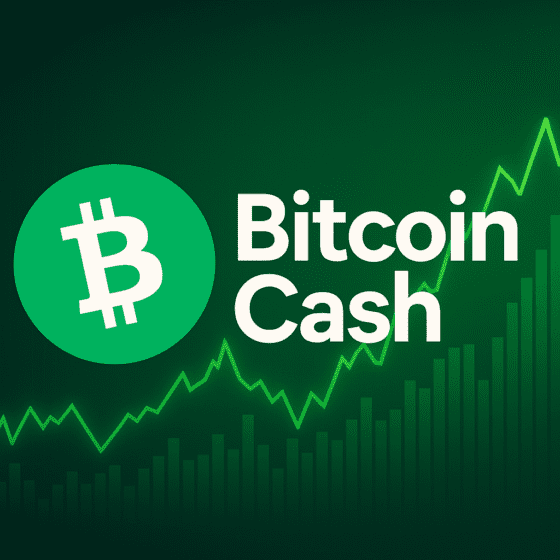 비트코인 캐시, 17개월 최고가 후 주춤⋯과열된 긍정 심리가 발목