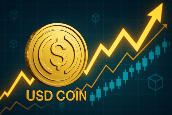 써클, 하이퍼EVM에 네이티브 USDC 출시⋯점유율 선점 나선다