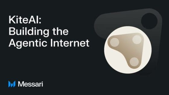 카이트 AI(Kite AI), 페이팔 벤처스 주도 1800만달러 투자 유치 – 메사리 보고서