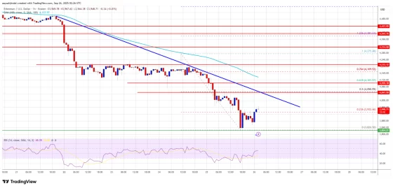 4000달러 아래로 떨어진 이더리움(ETH)…추가 하락 vs 기술적 반등 기로