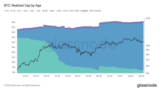 “마이클 세일러만 있는 게 아니다”…비트코인 10년차 다이아몬드 수저 늘고 있다