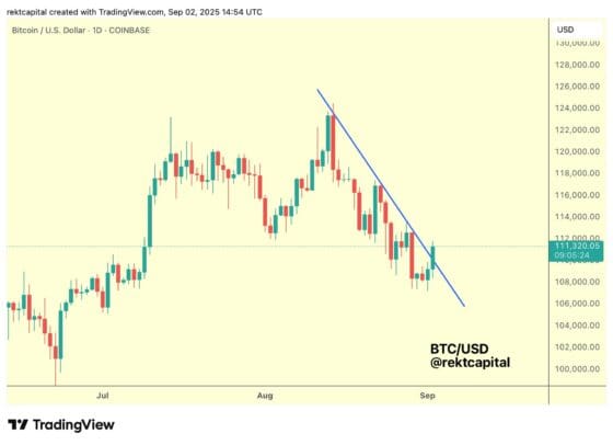 비트코인 강세장 145주차…사이클 종료까지 몇 주 남았나