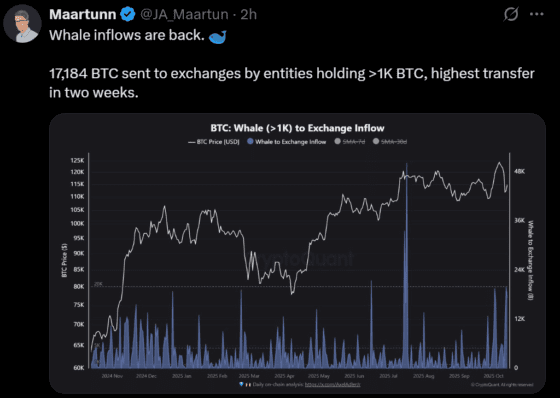 비트코인 1.7만 BTC 유입 vs 美 프리미엄 반등…엇갈린 신호, 투자자 셈법은?