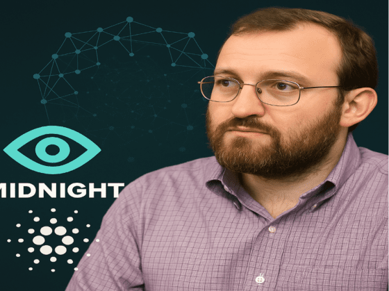 카르다노 창립자 호스킨슨 “미드나이트, 세계 최대 스마트컨트랙트 플랫폼 될 것”