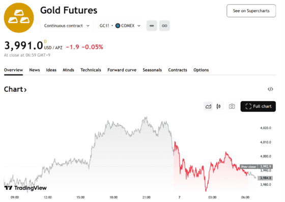 금값, 3991달러 보합…美 고용 둔화에도 관세 불확실성 완화에 상승폭 제한