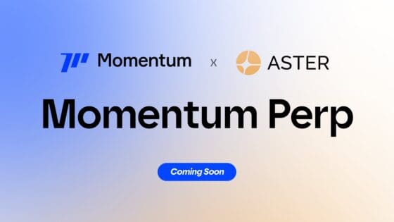 모멘텀, 수이에 ‘하이퍼리퀴드 스타일’ 퍼프덱스 출시… ‘아스터’ 리스크 엔진 탑재