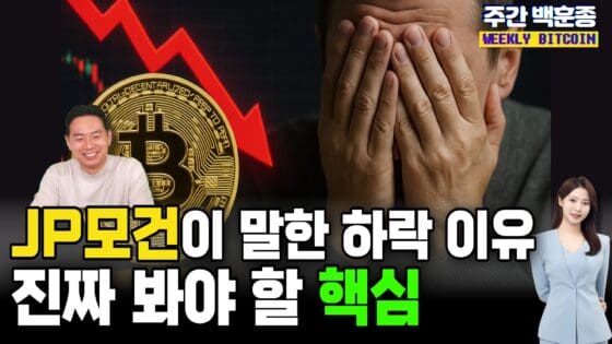 [영상] 하락장이 두려울 때 봐야 할 영상｜’금보다 저평가’의 진짜 의미 (주간 백훈종)