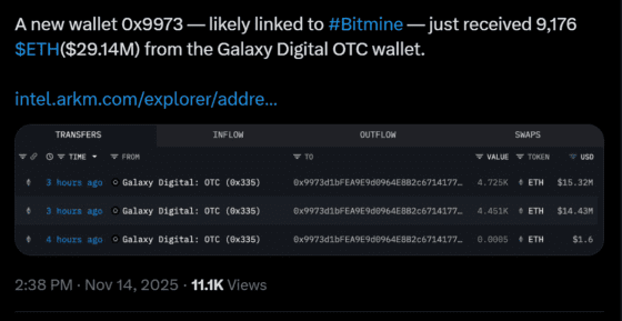 비트마인, 하락장서 이더리움 9176개 추매