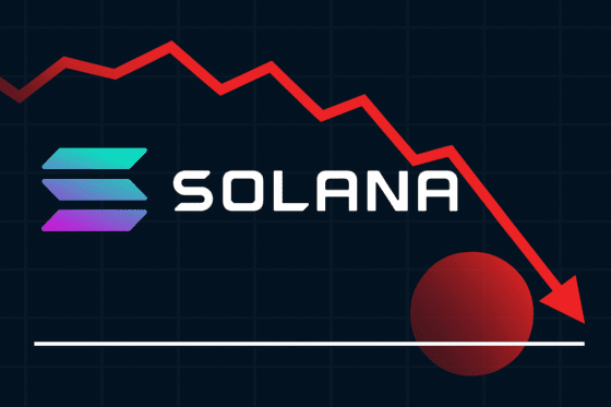 13일 연속 ETF 순유입에도⋯솔라나 100달러 경고등