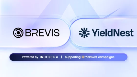 브레비스·일드네스트, ZK 활용 보상 캠페인 개시… “시간 가중치 보상, 수학적 투명성 확보”