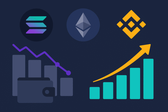 레이어1, 활성 지갑 급감 ⋯ “작년 과열 정상화 단계”