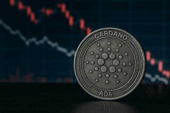 카르다노, ‘무관심 체인’ 전락에⋯최고점 대비 67% 하락