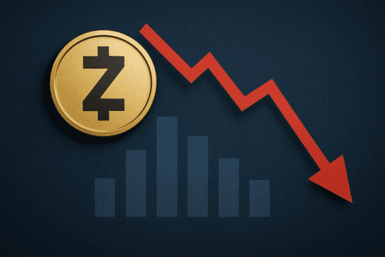 폭등의 주역 지캐시, 상승 끝났나⋯50% 하락 가능성 경고