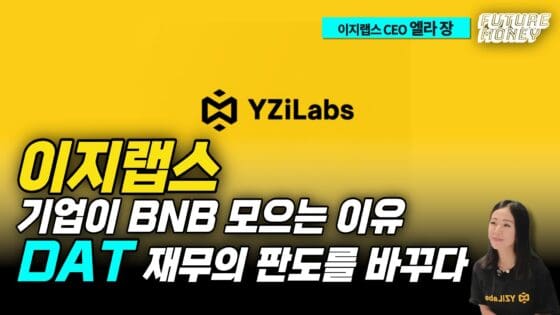 [영상] 기업이 BNB를 사모으는 진짜 이유 (DAT 모델 완전 정복)