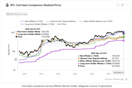 비트코인 반등했지만 고래 매도 지속…주기영 “사이클 후반, 30% 조정도 가능”