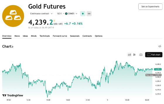금값, 4239달러로 소폭 상승…ADP 고용 충격 여진 속 연준 완화 기대 지속