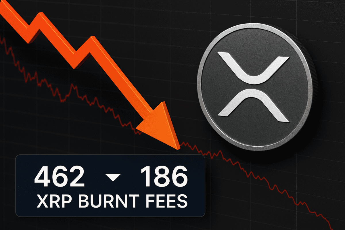 XRP 네트워크 활동 급감⋯ 수수료 소각량 하루 새 60% 감소 XRP 네트워크 활동 급감⋯ 수수료 소각량 하루 새 60% 감소