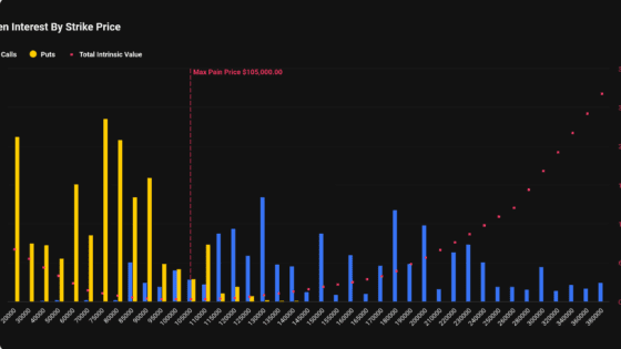 비트코인 9만달러 시대에 2만달러 풋옵션 급증…시장에 담긴 신호는?
