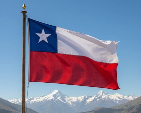 “부켈레와 다르다”… 칠레, 330조 연기금에 비트코인 담나