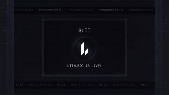 파생상품 DEX 라이터, LIT 토큰 공개…절반은 팀·투자자 몫