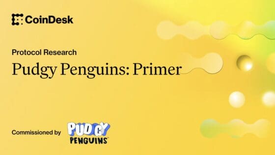 펏지펭귄, NFT 너머 글로벌 소비자 IP 기업으로 진화… “2027년 IPO 목표”-코인데스크 리서치