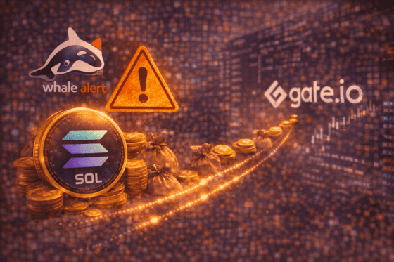 새해 강세 탄 솔라나, 고래는 움직였다⋯40.7만 SOL 이동 포착