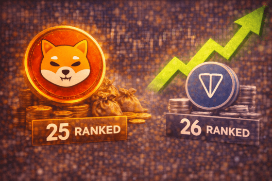 시바이누, 연초 상승세⋯톤코인 제치고 시총 25위