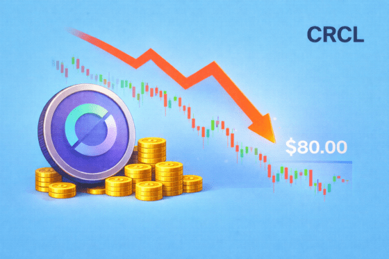 70% 빠진 써클⋯수익 다각화가 반등 열쇠 될까