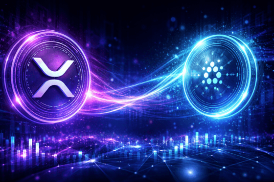 [주요 뉴스] 카르다노, 프라이버시 체인으로 XRP 기반 디파이 생태계 확장 예고