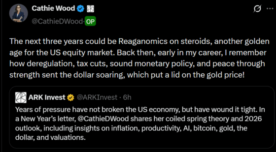 캐시 우드 “향후 3년 미국 증시 황금기 가능…규제 완화·감세가 성장 촉진”