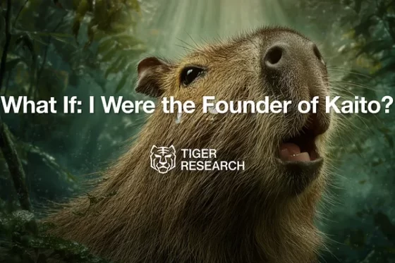 만약 내가 카이토 파운더라면? – 타이거리서치